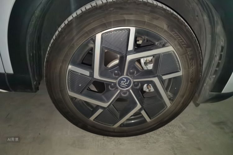 BYD Yuan Plus 2023 car image #9