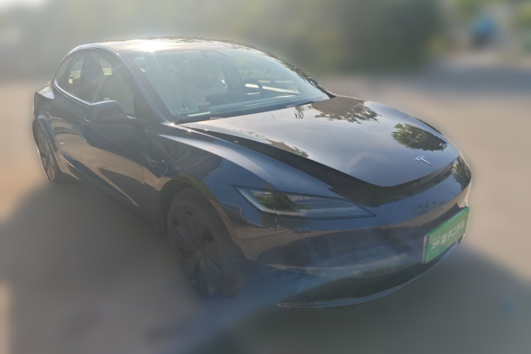 Tesla Model 3 2025 car image #4