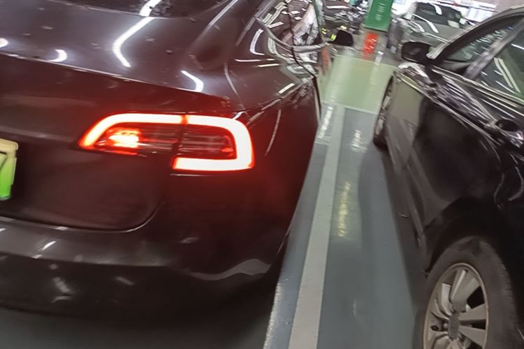 Tesla Model 3 2022 car image #8