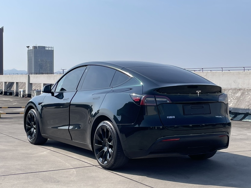 Tesla Model Y 2021 car image #6