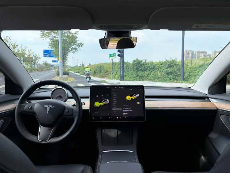 Tesla Model 3 2022 car image #8