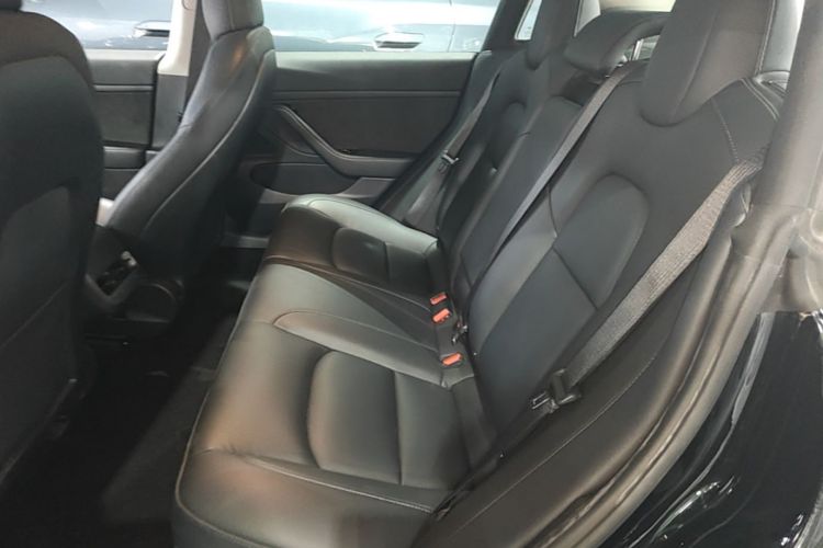 Tesla Model 3 2020 #17 Tesla Model 3 2020 car image #17