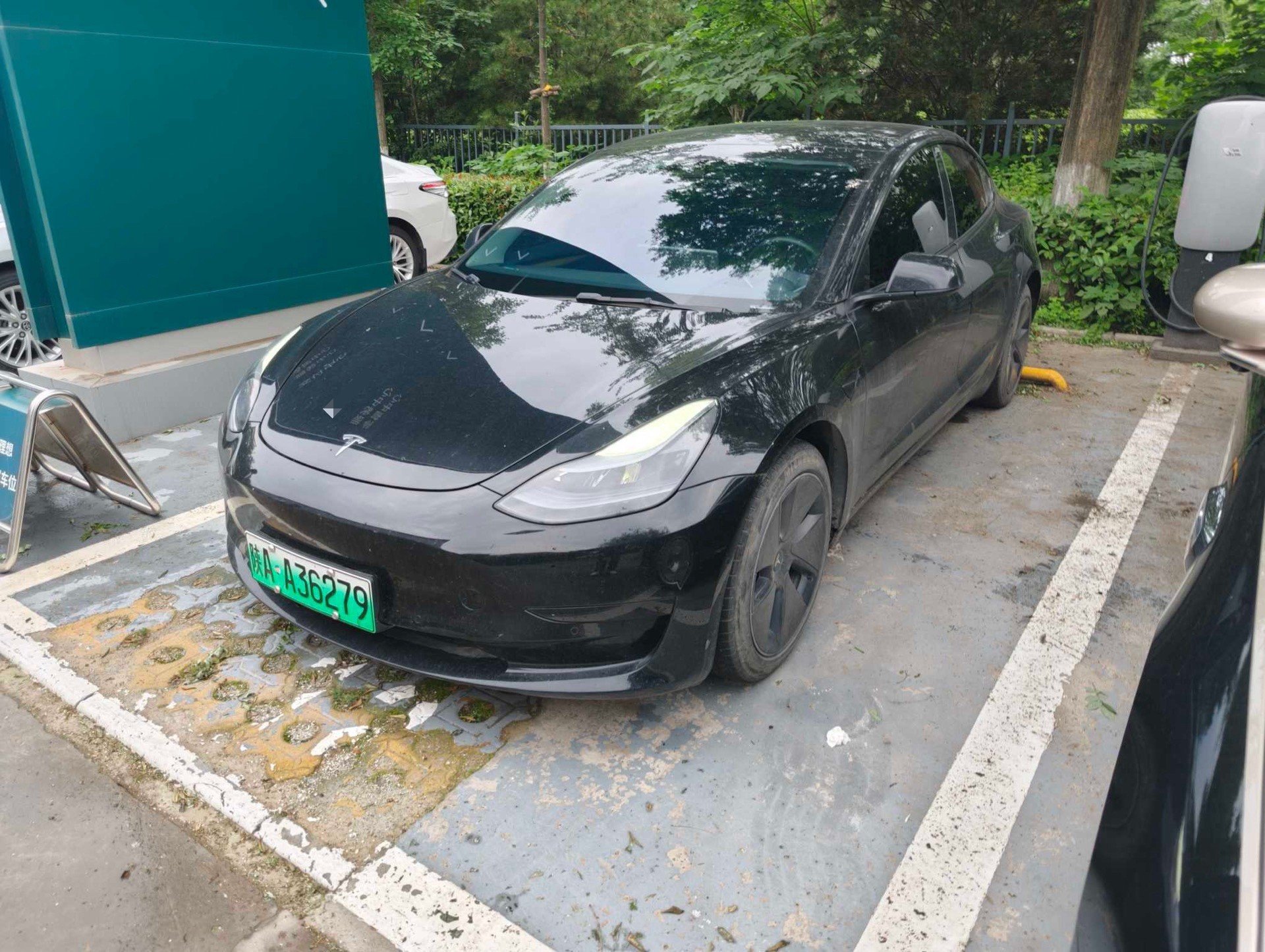 Tesla Model 3 2023 Tesla Model 3 2023 car image