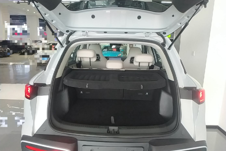 BYD YuanUP 2024 #19 BYD YuanUP 2024 car image #19