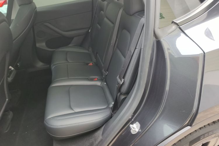 Tesla Model Y 2024 car image #17
