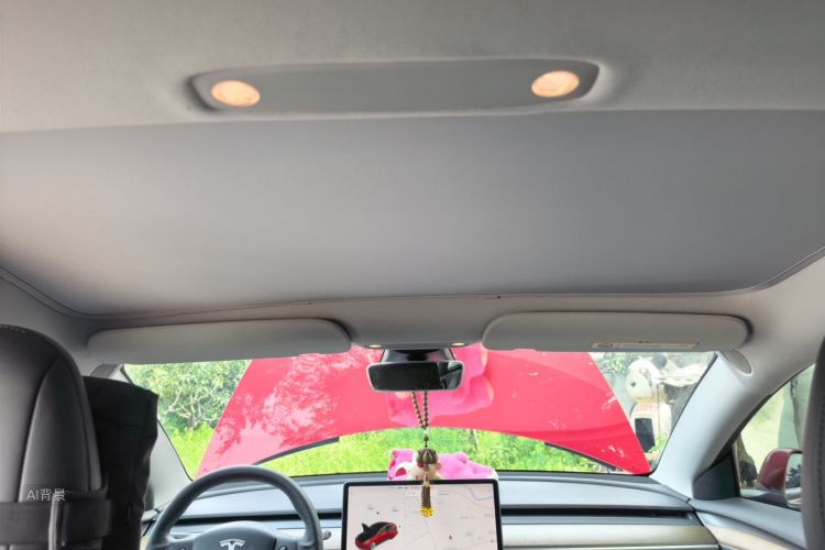 Tesla Model 3 2021 #20 Tesla Model 3 2021 immagine di auto #20