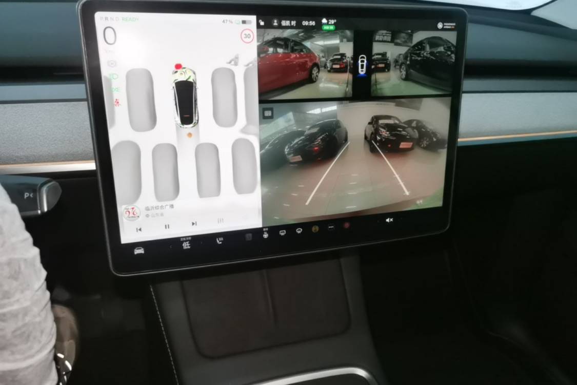 Tesla Model Y 2024 car image #14