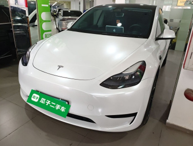 Tesla Model Y 2024 Tesla Model Y 2024 car image