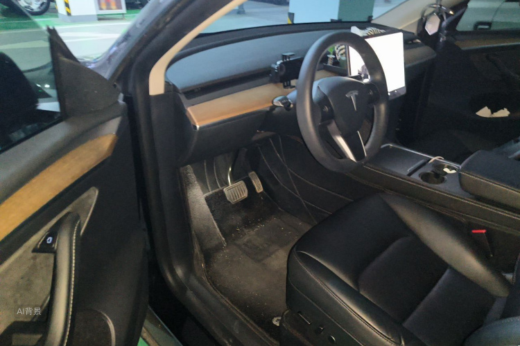 Tesla Model Y 2021 car image #18
