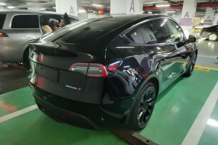 Tesla Model Y 2022 #7 Tesla Model Y 2022 car image #7