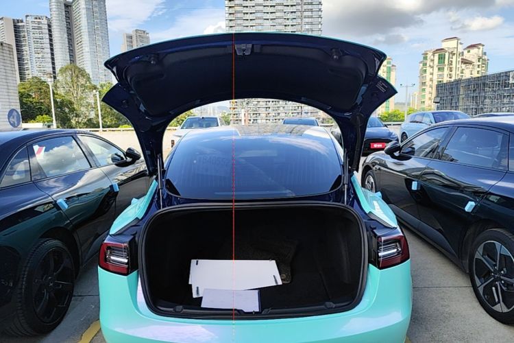 Tesla Model 3 2020 #24 Tesla Model 3 2020 car image #24