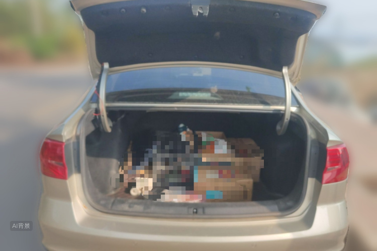 Volkswagen Bora 2020 car image #21