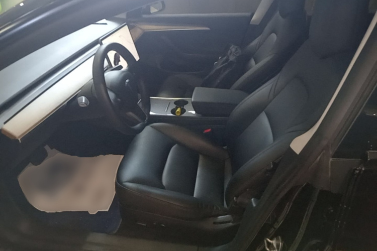 Tesla Model 3 2021 car image #16
