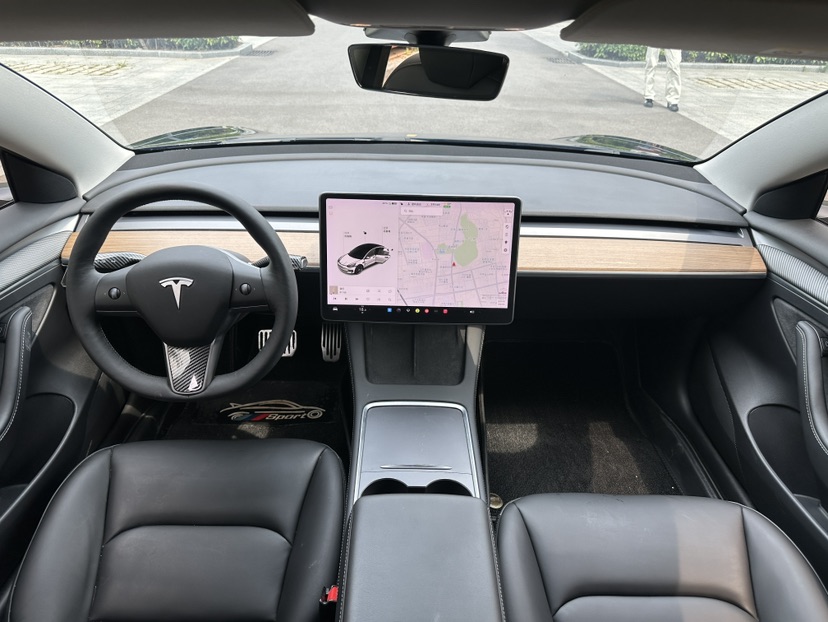 Tesla Model 3 2021 car image #6