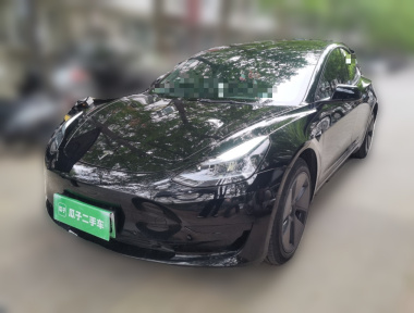 Tesla Model 3 2023 Tesla Model 3 2023 car image