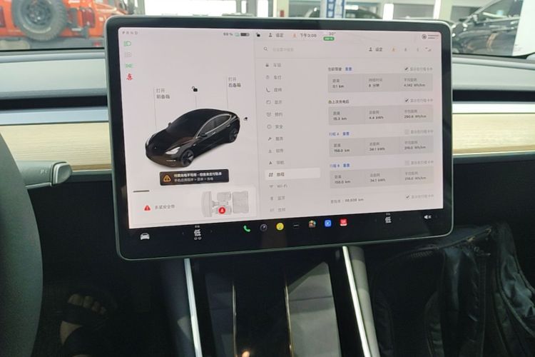 Tesla Model 3 2020 car image #18
