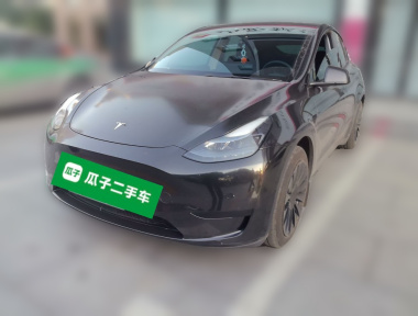 Tesla Model Y 2023 Tesla Model Y 2023 car image