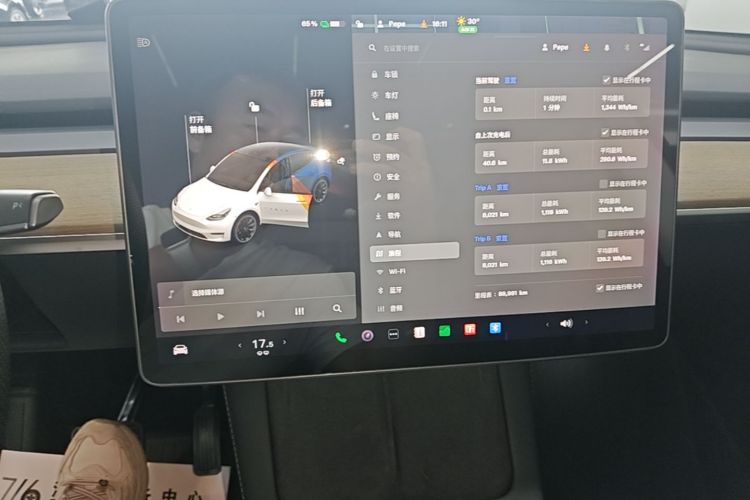 Tesla Model Y 2021 #13 Tesla Model Y 2021 car image #13