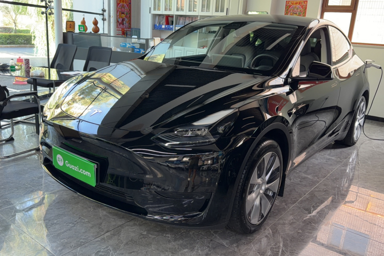Tesla Model Y 2023 #2 Tesla Model Y 2023 car image #2