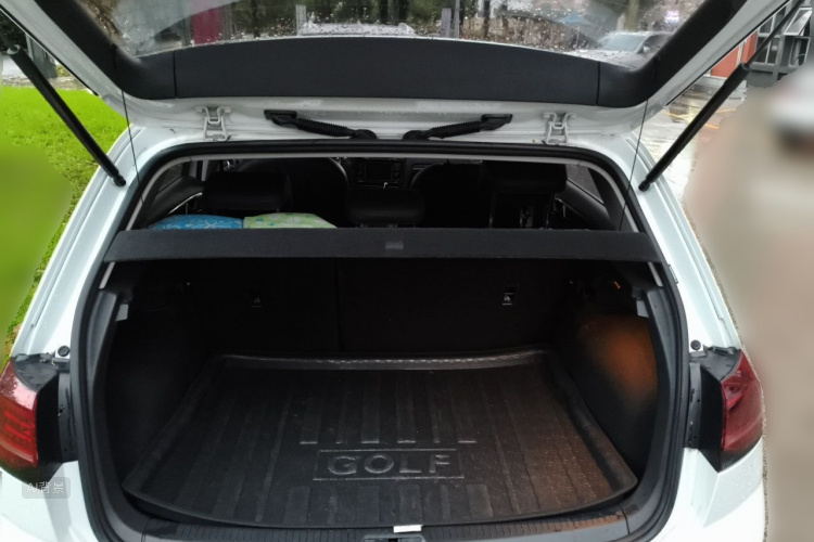 Volkswagen Golf 2018 car image #21