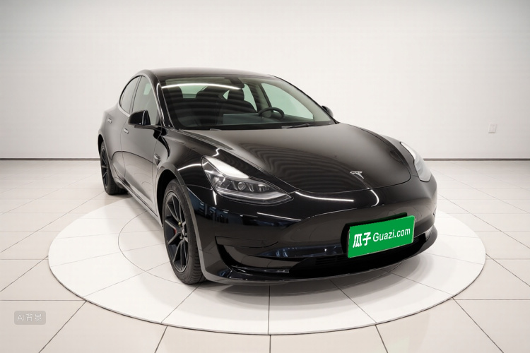 Tesla Model 3 2021 #4 Tesla Model 3 2021 car image #4