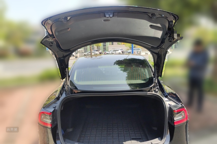 Tesla Model 3 2020 car image #21
