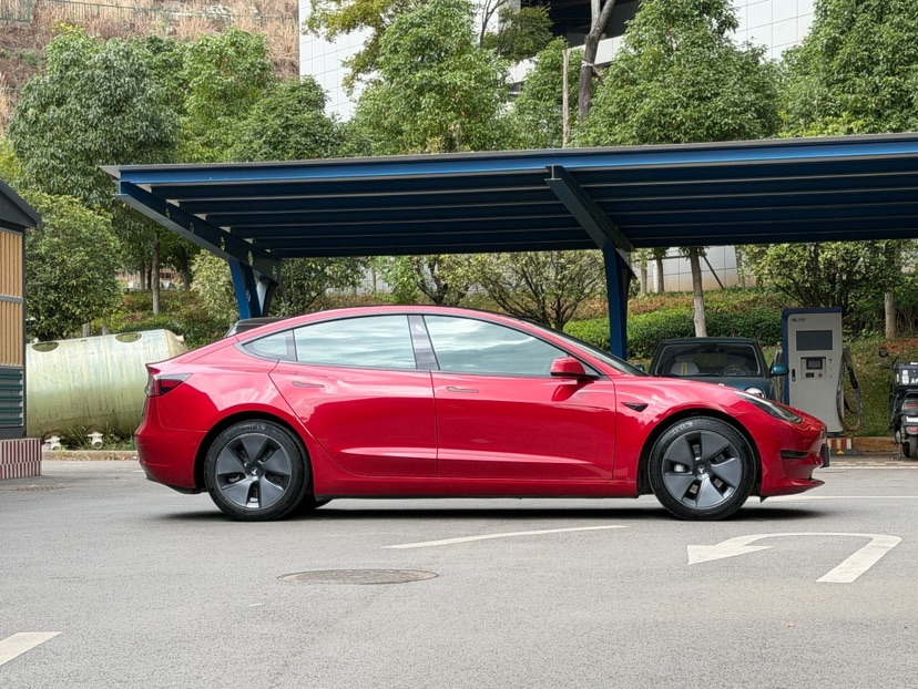 Tesla Model 3 2021 #4 Tesla Model 3 2021 car image #4