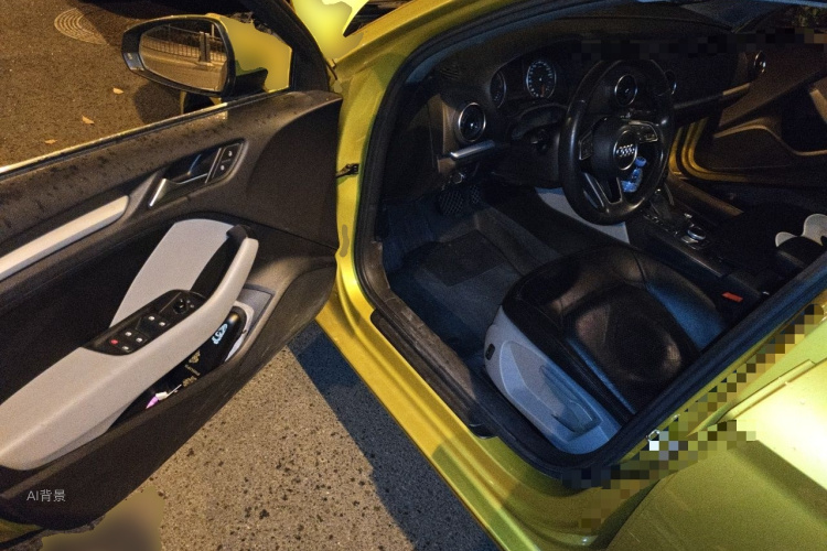 Audi A3 2018 car image #18