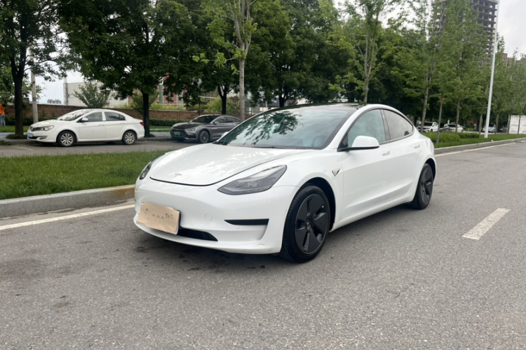 Tesla Model 3 2021 #2 Tesla Model 3 2021 car image #2