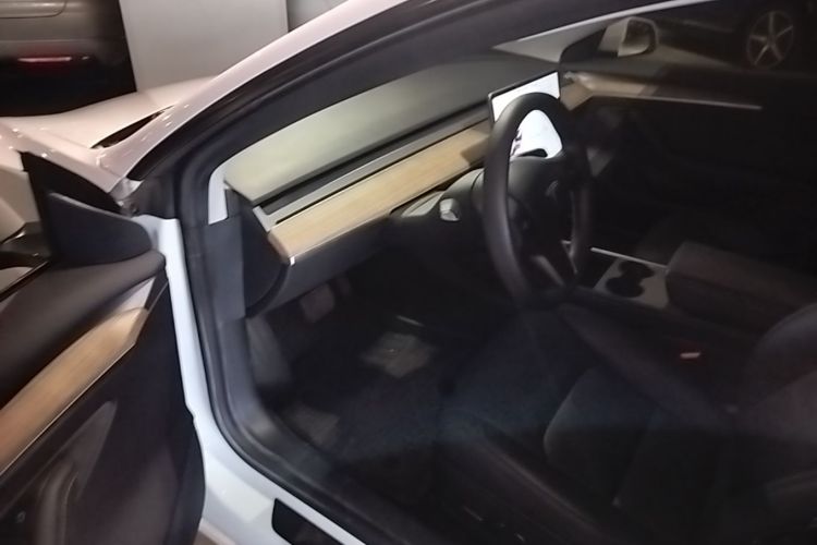 Tesla Model 3 2021 #16 Tesla Model 3 2021 immagine di auto #16