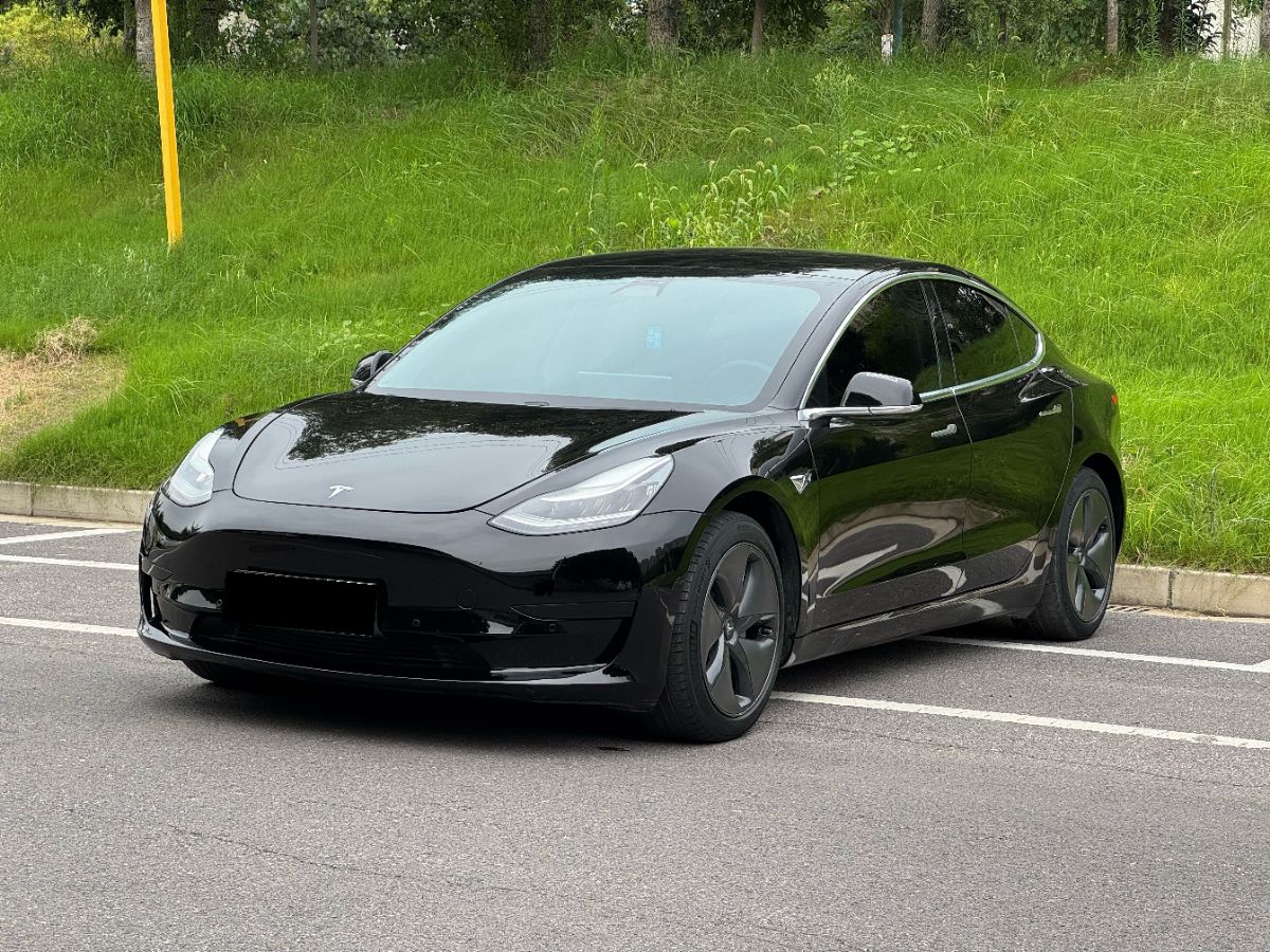 Tesla Model 3 2021 Tesla Model 3 2021 car image