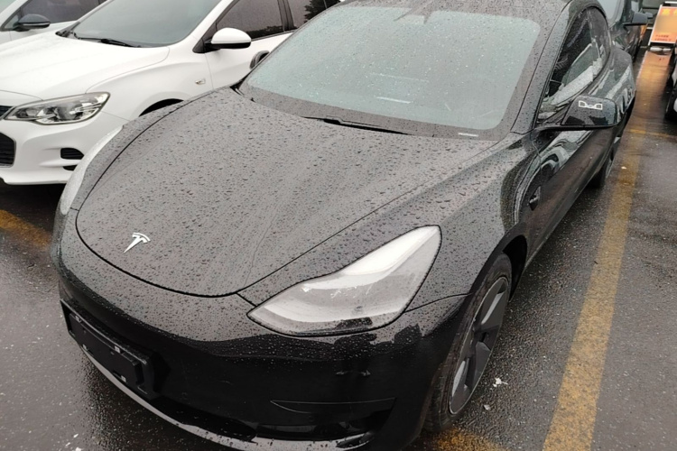 Tesla Model 3 2021 car image #2
