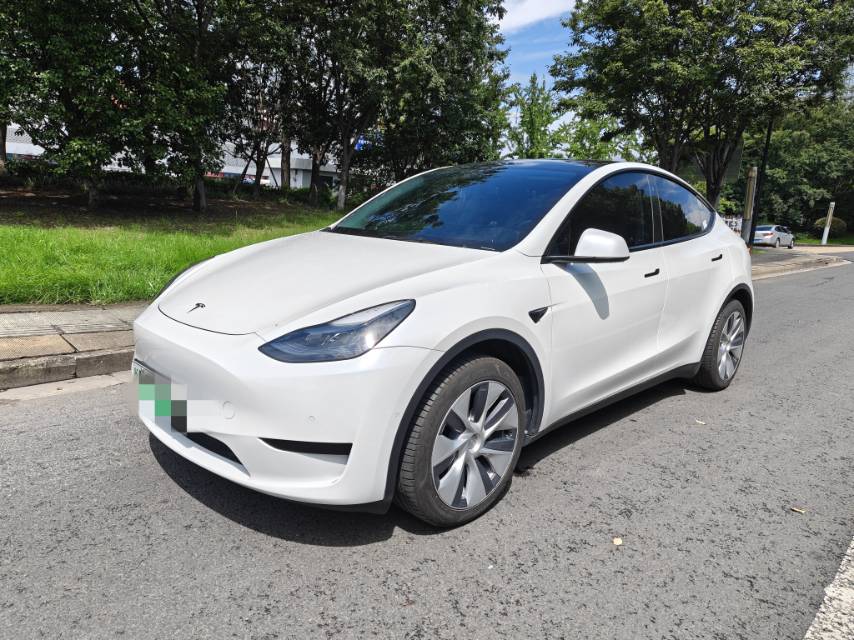 Tesla Model Y 2023 car image 