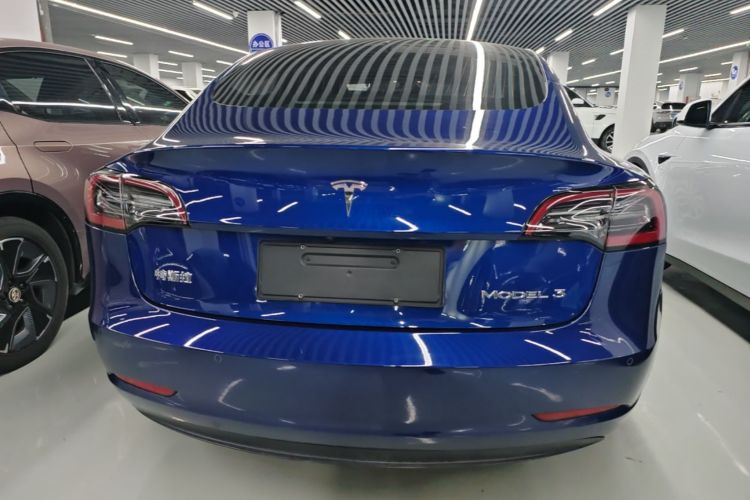 Tesla Model 3 2020 car image #6