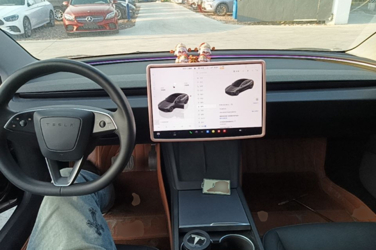 Tesla Model 3 2023 car image #11
