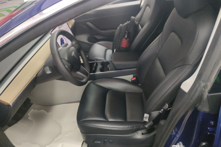 Tesla Model 3 2020 immagine di auto #15
