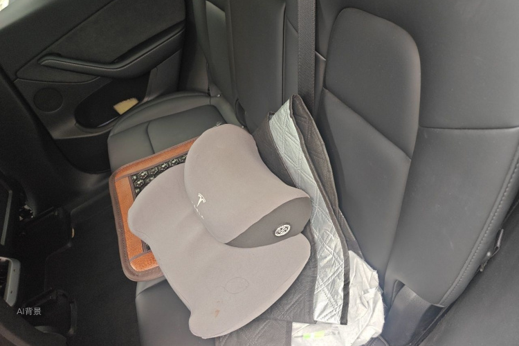 Tesla Model Y 2023 car image #19