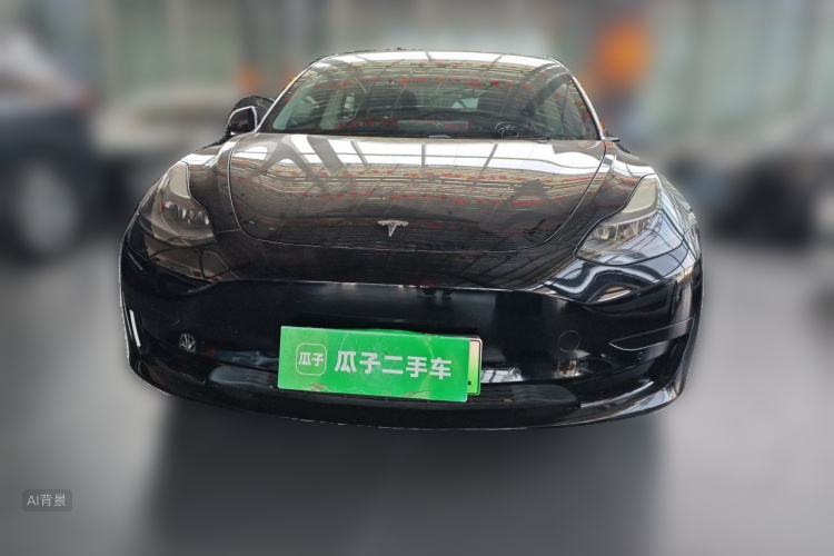 Tesla Model 3 2021 car image #3