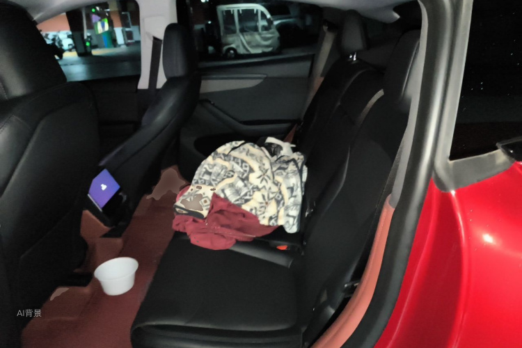 Tesla Model Y 2025 car image #19