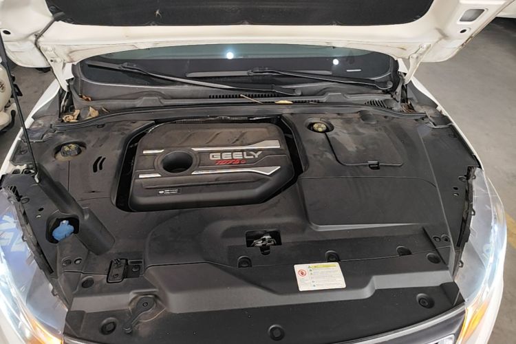 GEELY Emgrand GL 2020 car image #20