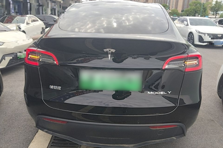 Tesla Model Y 2021 #6 Tesla Model Y 2021 car image #6