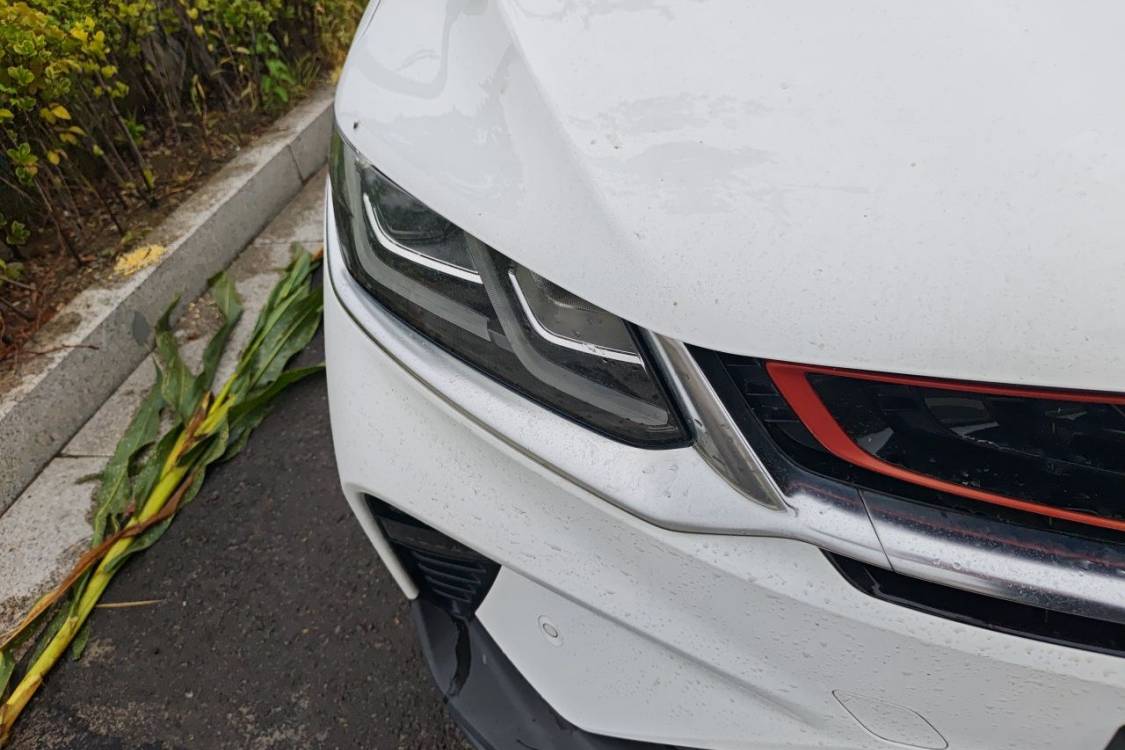 GEELY Coolray 2019 car image #7