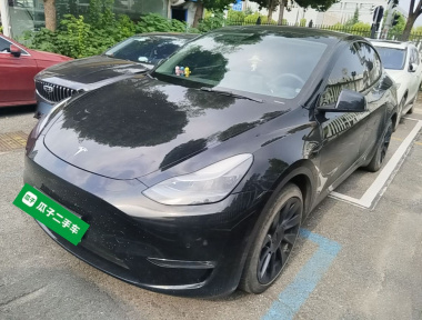 Tesla Model Y 2023 Tesla Model Y 2023 car image