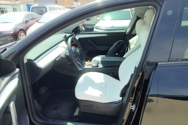 Tesla Model Y 2021 car image #15