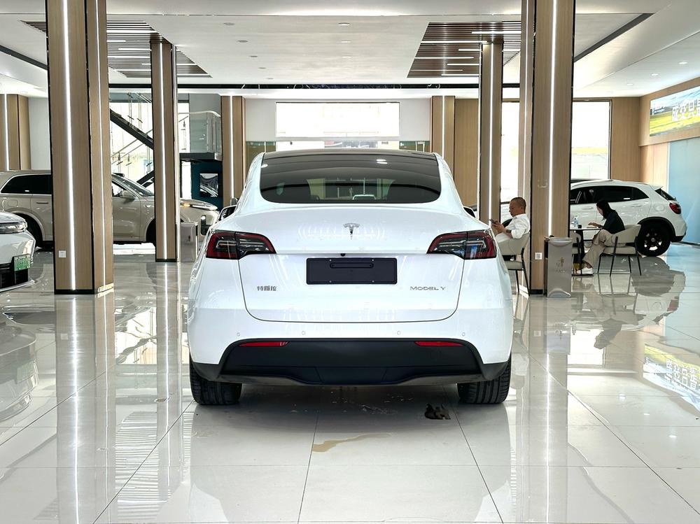 Tesla Model Y 2023 #5 Tesla Model Y 2023 car image #5