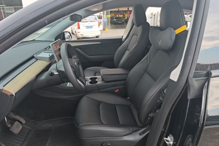 Tesla Model Y 2023 car image #15