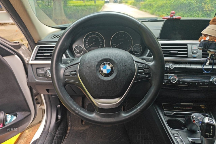 BMW 3 Series 2018 car image #12