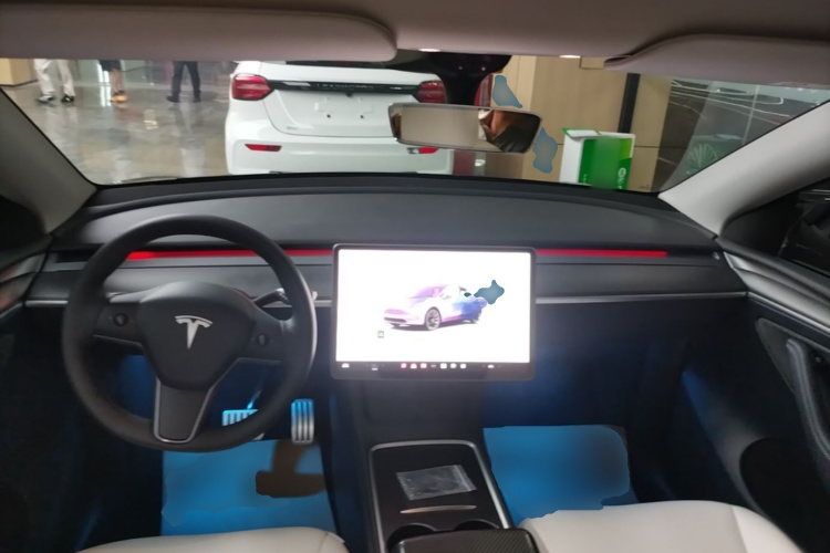 Tesla Model Y 2022 car image #10