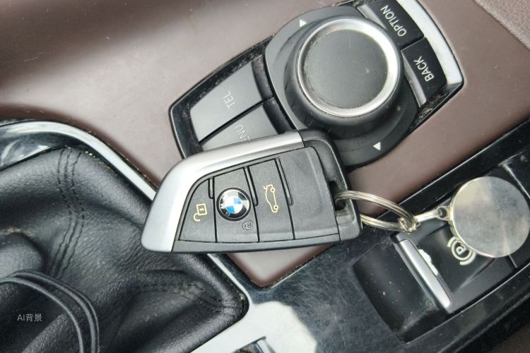 BMW X1 2016 car image #10