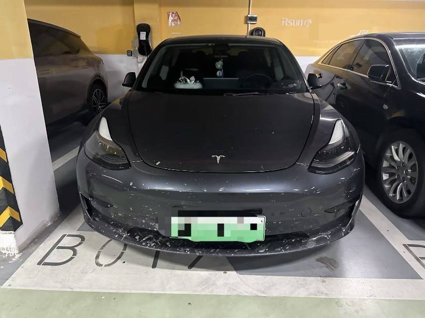 Tesla Model 3 2021 imagem de carro #2